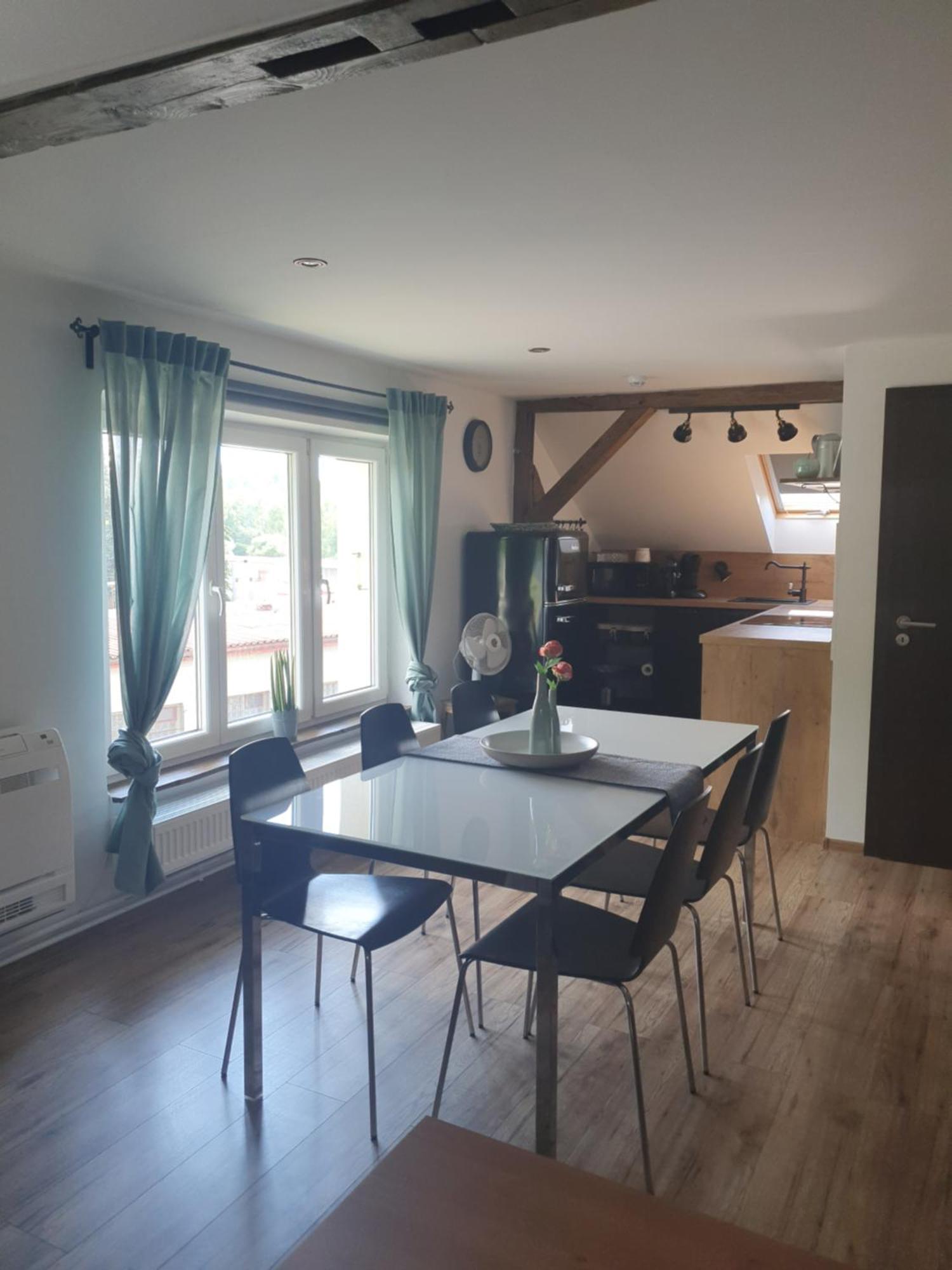 Apartmán Silvestr Dolni Rychnov Exterior foto